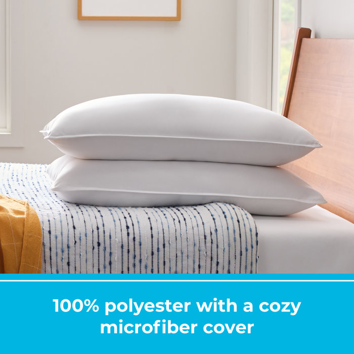 Wayfair Sleep™ Firm Pillow & Reviews Wayfair